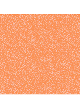 Andover Freckles 2 Orangeade