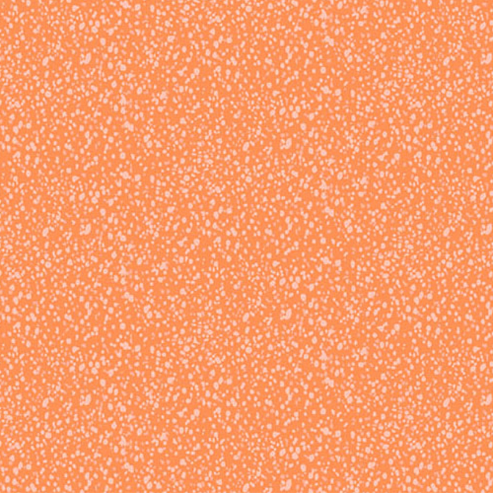 Andover Freckles 2 Orangeade