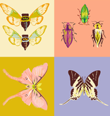 Windham Fabrics Insectarium Square Dance Multi 36" Panel