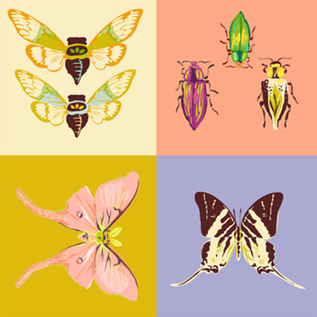 Windham Fabrics Insectarium Square Dance Multi 36" Panel
