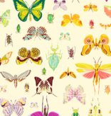 Windham Fabrics Insectarium On Display Light