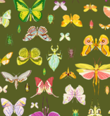 Windham Fabrics Insectarium On Display Olive