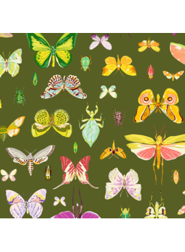 Windham Fabrics Insectarium On Display Olive