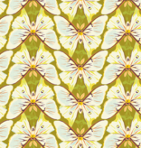 Windham Fabrics Insectarium Luna Spring