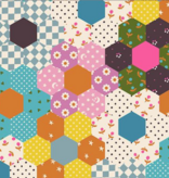 Ruby Star Society Catnap Turquoise Hexagon Cheater