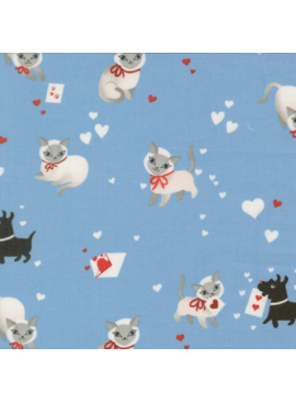 Moda Funny Valentine Sky Pets