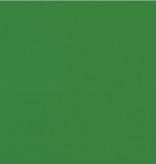 Robert Kaufman Kona Cotton COTY 2026 Wander