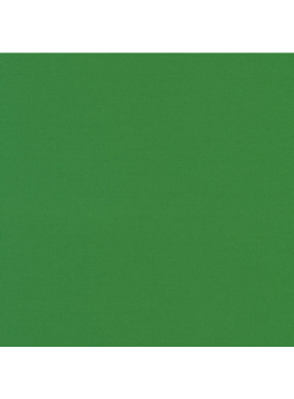 Robert Kaufman Kona Cotton COTY 2026 Wander