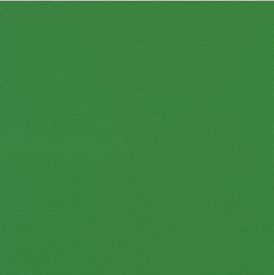 Robert Kaufman Kona Cotton COTY 2026 Wander