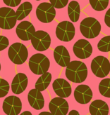 Ruby Star Society Calathea Pilea Strawberry