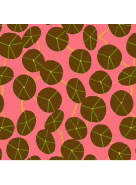 Ruby Star Society Calathea Pilea Strawberry