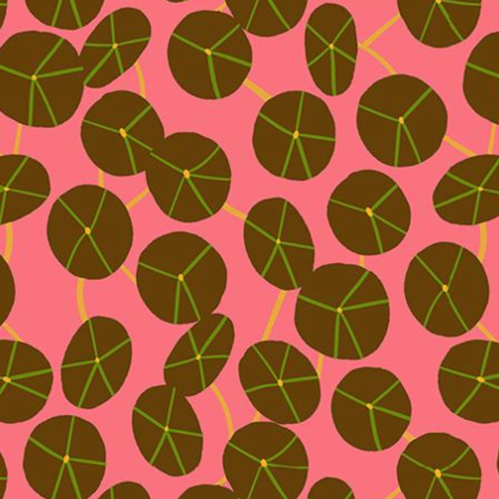 Ruby Star Society Calathea Pilea Strawberry