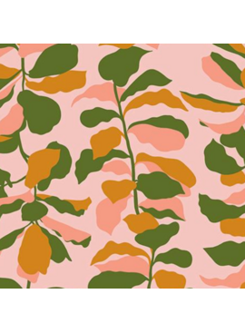 Ruby Star Society Calathea Fiddle Leaf Sweet Pink