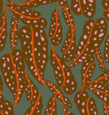 Ruby Star Society Calathea Overlapping Leaves Cocoa