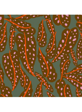 Ruby Star Society Calathea Overlapping Leaves Cocoa