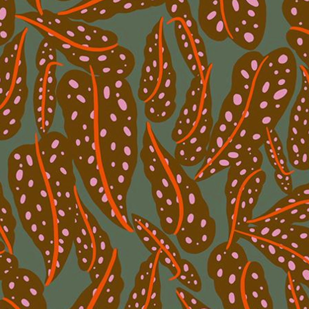 Ruby Star Society Calathea Overlapping Leaves Cocoa