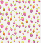 Windham Fabrics Heather Ross Favorites Strawberries Blush