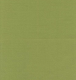 Ruby Star Society 16" Rosie Toweling Woven Check Green