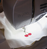 Modern Domestic BERNINA Embroidery Sales Event, Saturday, March 7th, 9:45am-3:30pm