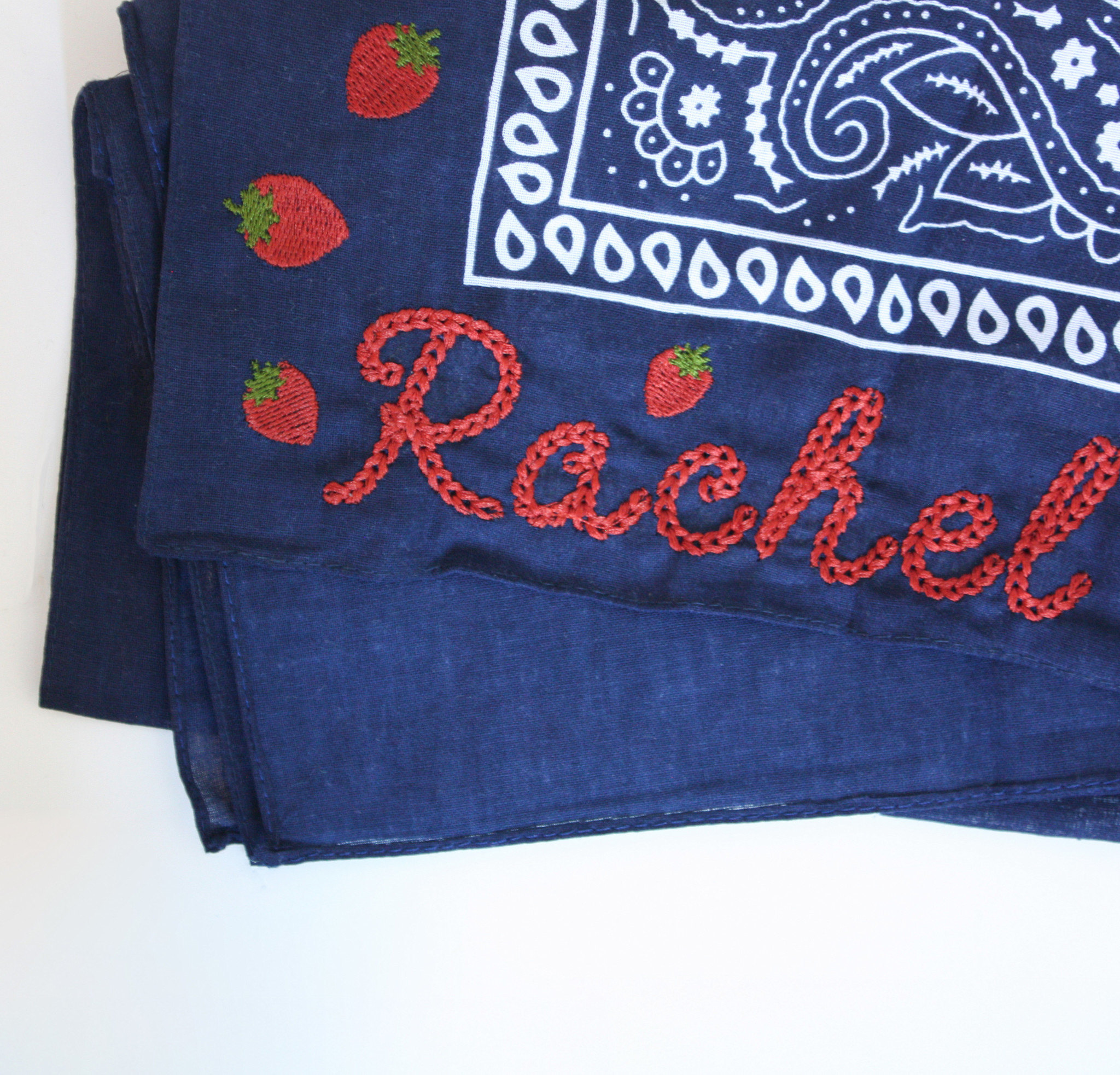 Modern Domestic BERNINA Embroidery Sales Event, Saturday, March 7th, 9:45am-3:30pm