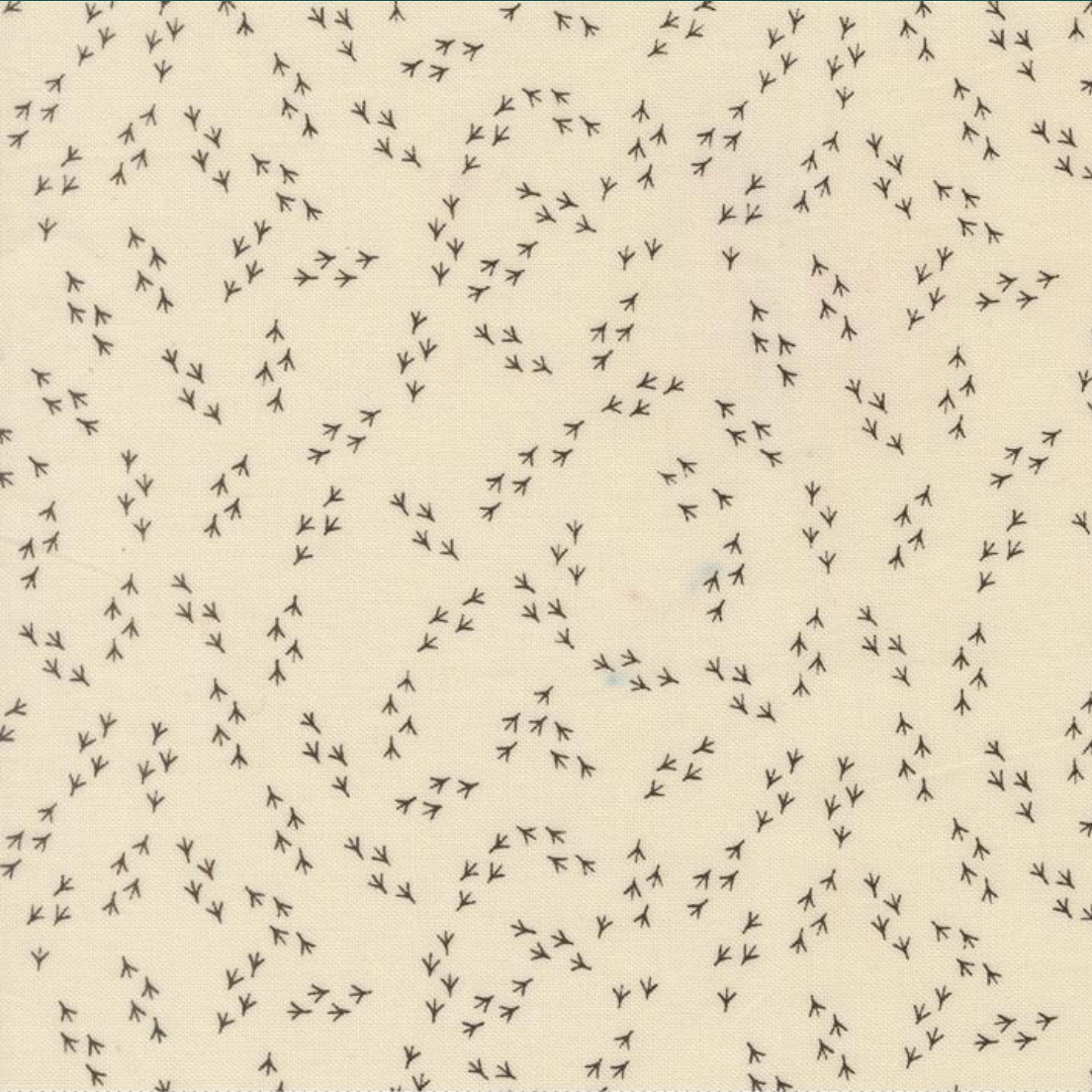 Moda The Henhouse Iron Footprints