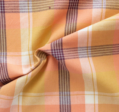 Fableism Supply Co Arcade Plaid Apricot