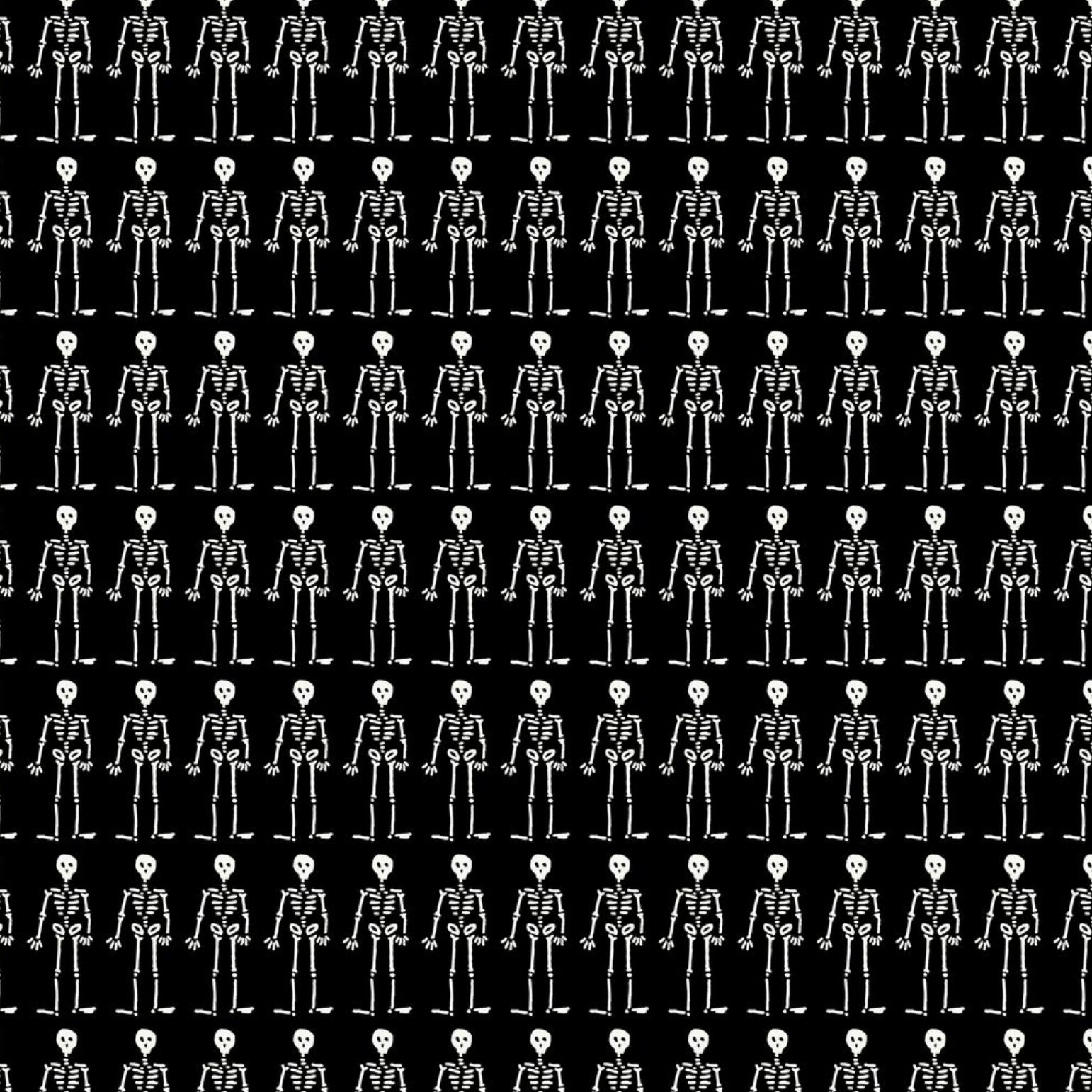 Cloud 9 Fabrics Dem Bones The Line Up Black White