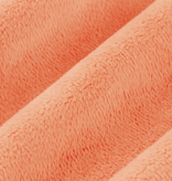 Shannon Fabrics Cuddle Solid Papaya