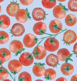 Lewis & Irene Vegetable Patch Vine Tomatoes Red