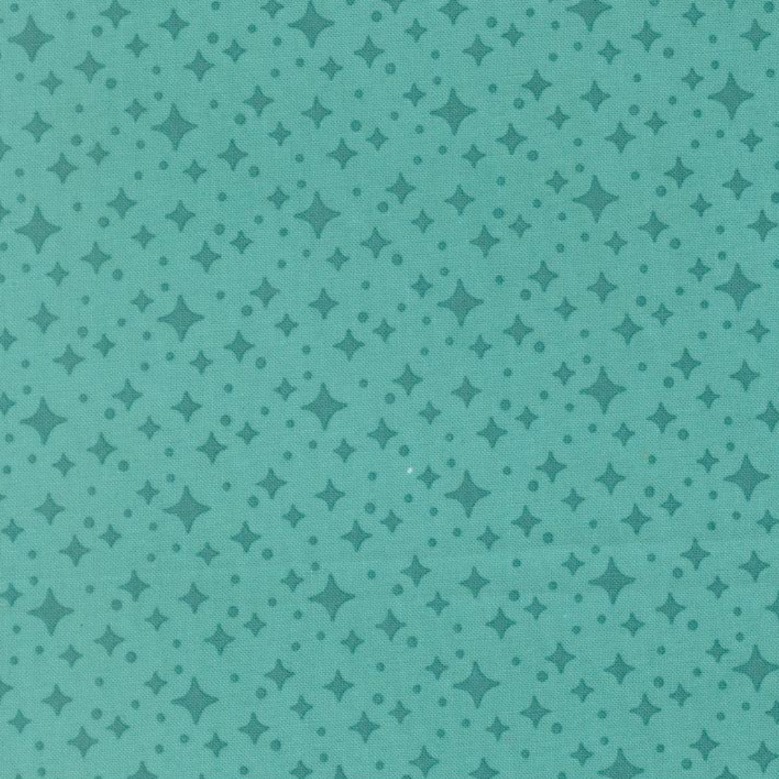 Moda Scenery by Elizabeth Hartman Starlight Poolside