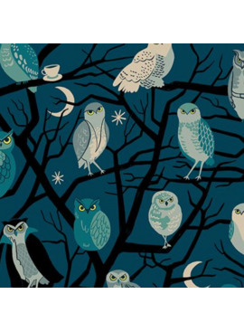 Ruby Star Society Freaky Familiars Owls Galaxy