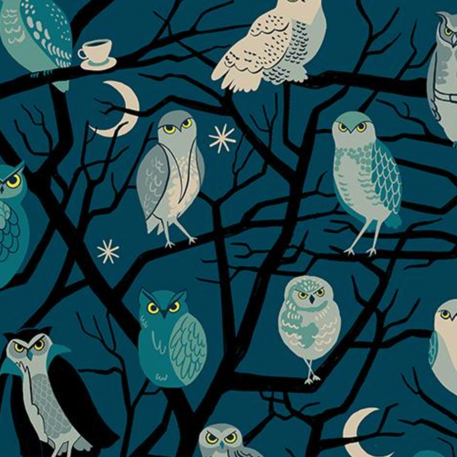 Ruby Star Society Freaky Familiars Owls Galaxy