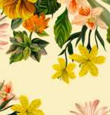 Liberty Fabrics Liberty Exotic Botanical Tana Lawn