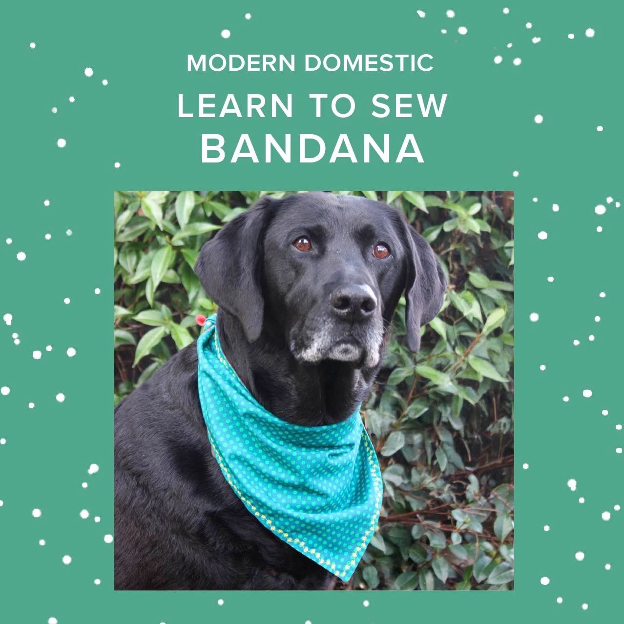 Colleen Connolly Learn to Sew: Bandana with Decorative Stitching, Monday, September 21st, 5:30pm-8:30pm