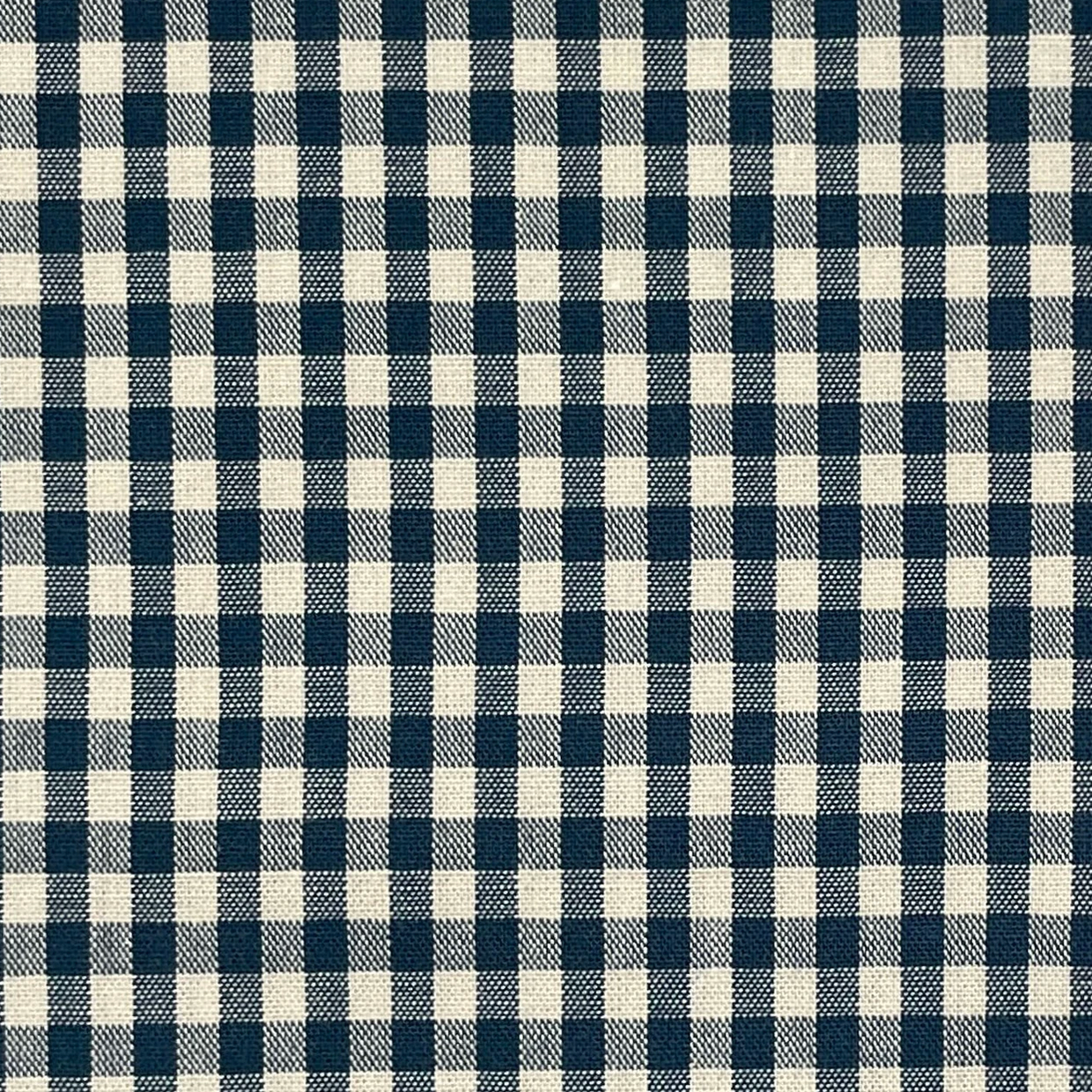 Sevenberry Sevenberry Broadcloth Gingham Blue