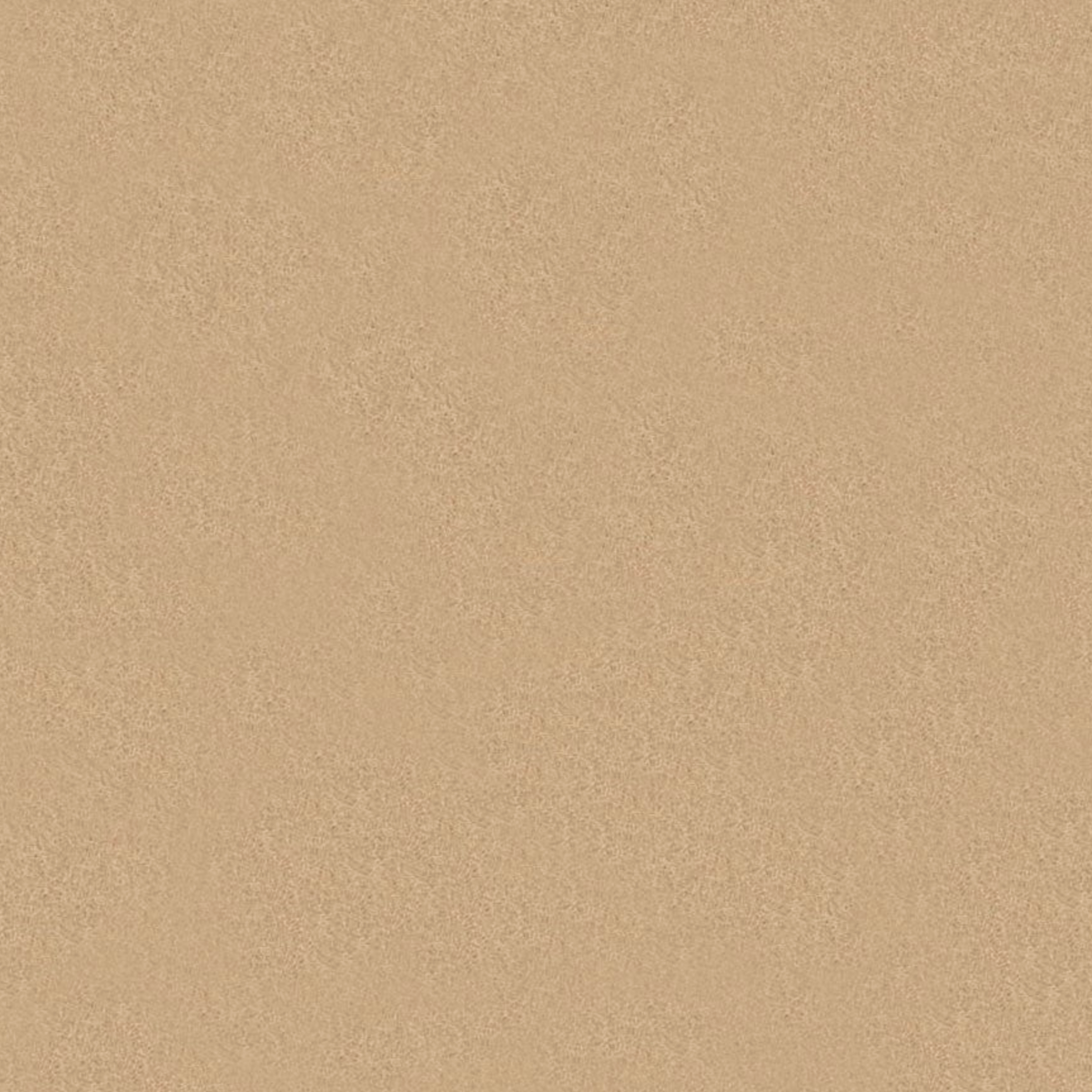 National Nonwovens Wool Felt Champagne