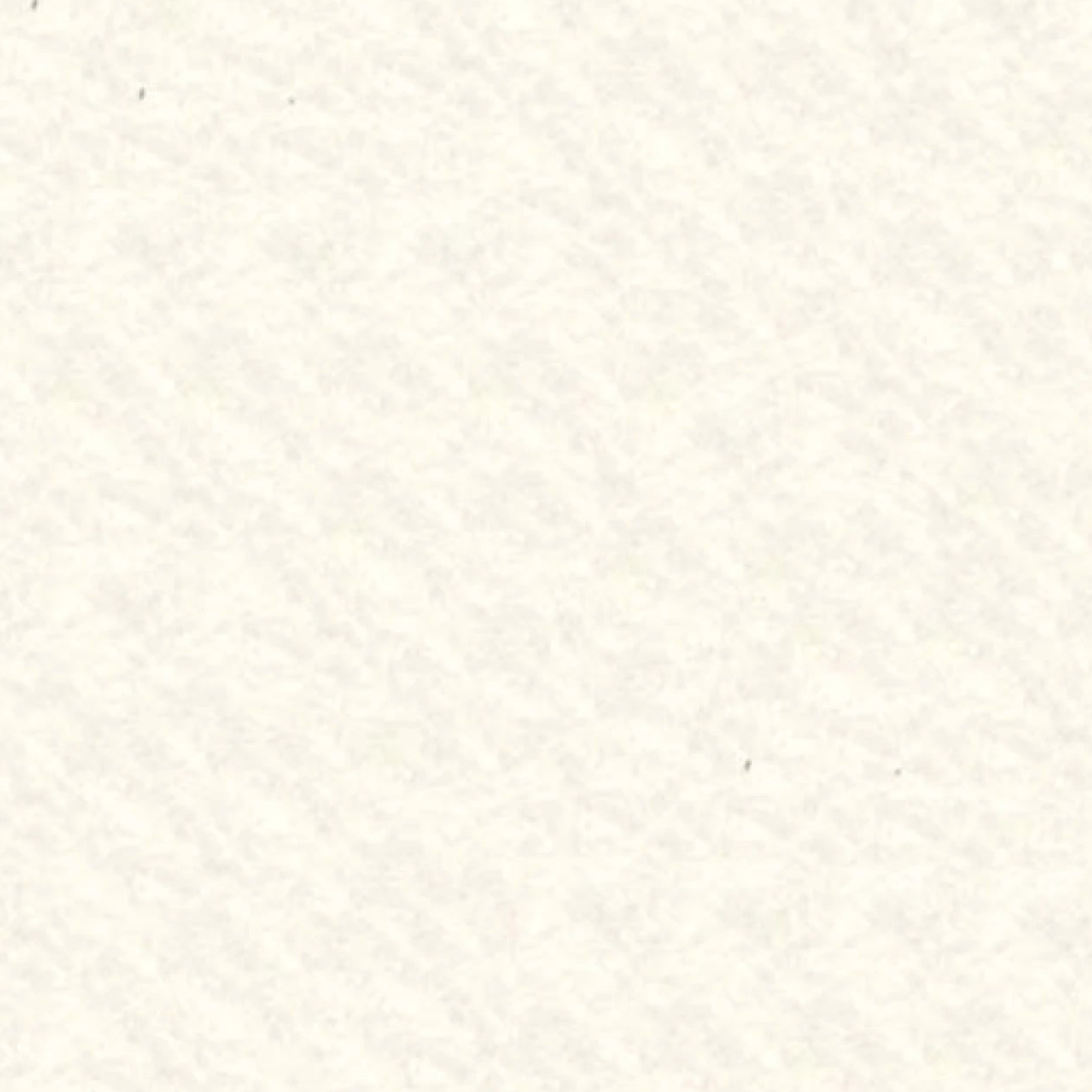 National Nonwovens Wool Felt White