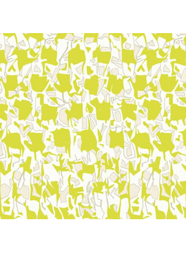 Ruby Star Society Memento by Caroline Friedlander Explore Citron