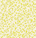 Ruby Star Society Memento by Caroline Friedlander Grit Citron
