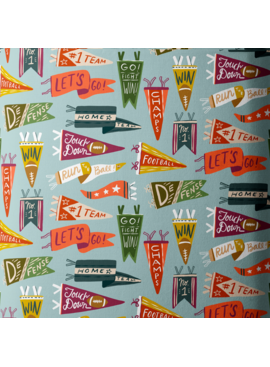 Cloud 9 Fabrics Touchdowns & Tailwags Vintage Victory