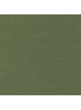 Carr Textiles 10 oz Organic Duck Fern