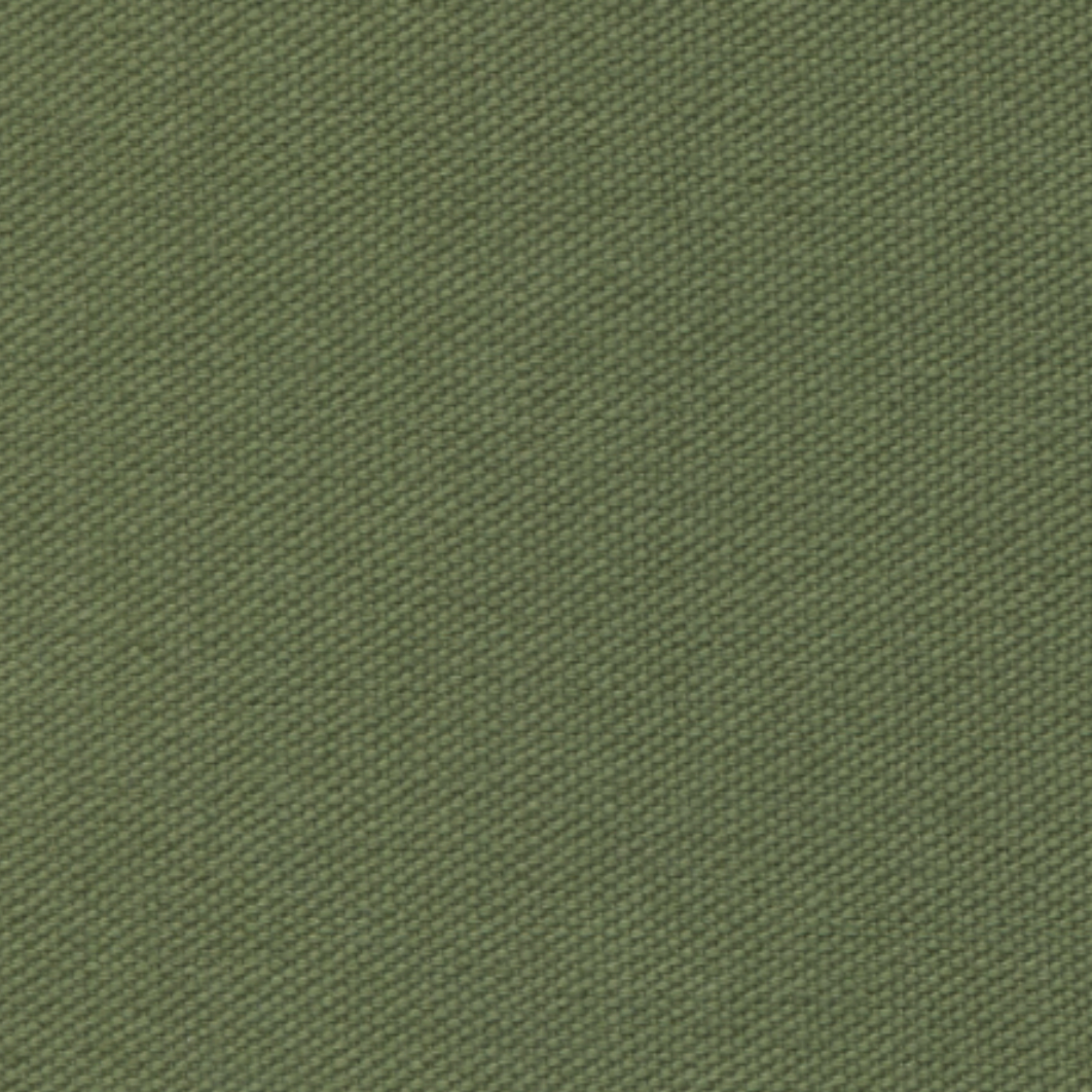 Carr Textiles 10 oz Organic Duck Fern