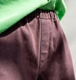 Notches Notches Tiki Pants Pattern