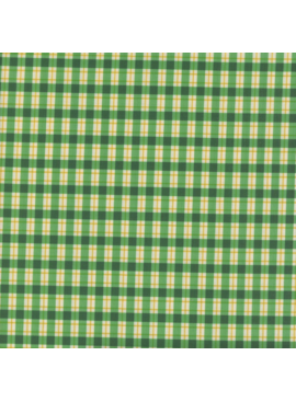 August Ellery Stannie & Lloyd Chaperone's Gingham
