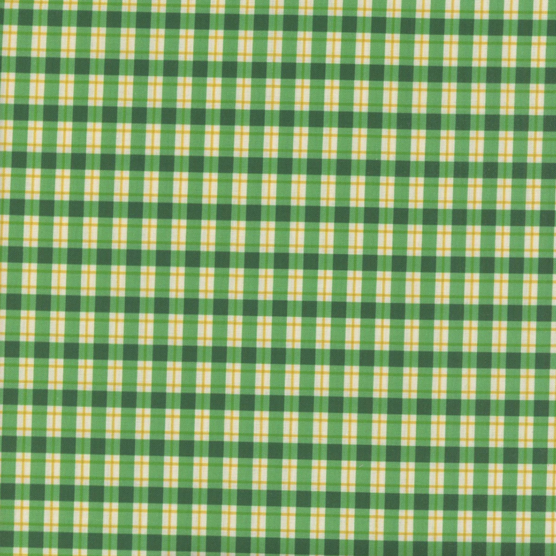 August Ellery Stannie & Lloyd Chaperone's Gingham