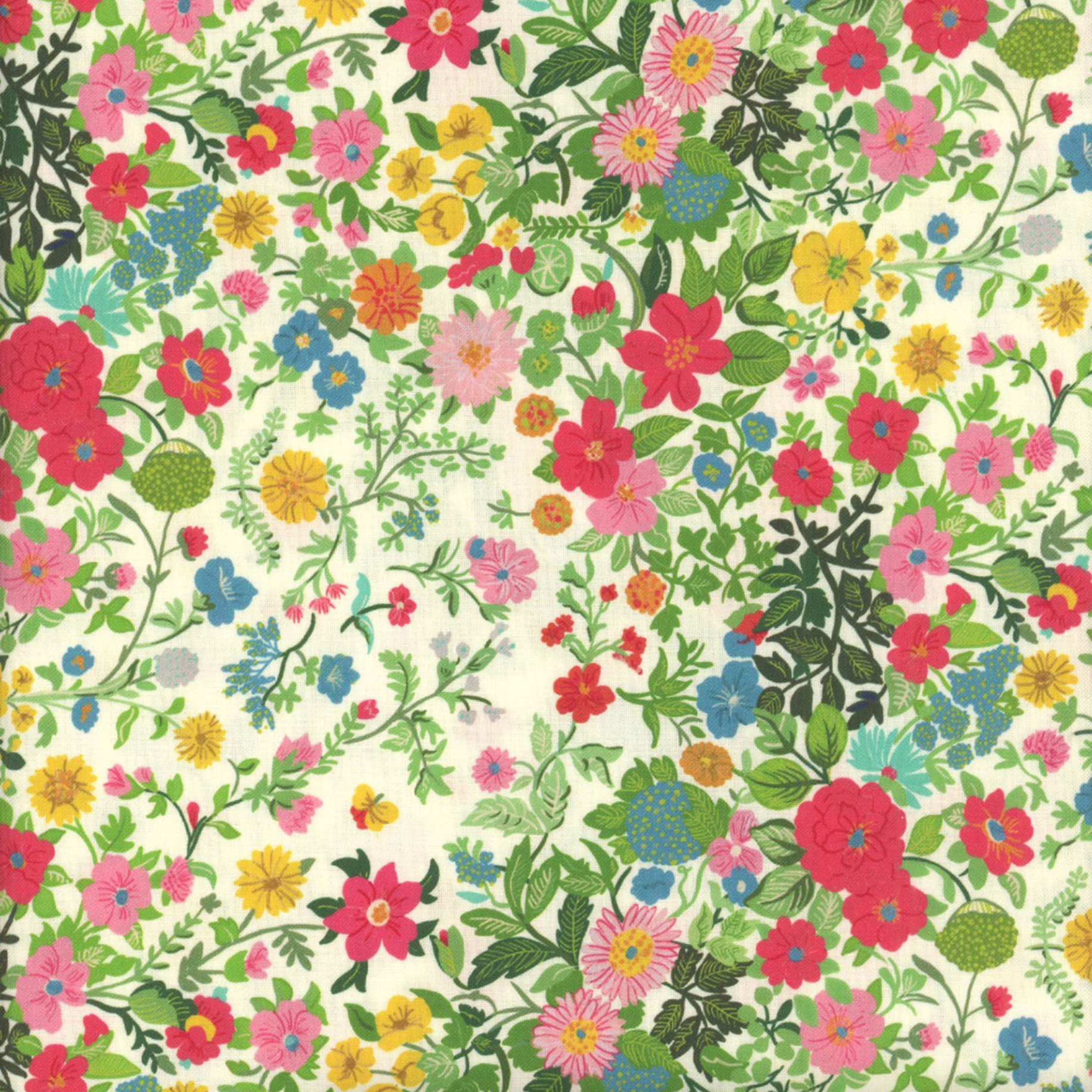 August Ellery Stannie & Lloyd Regency Rebel