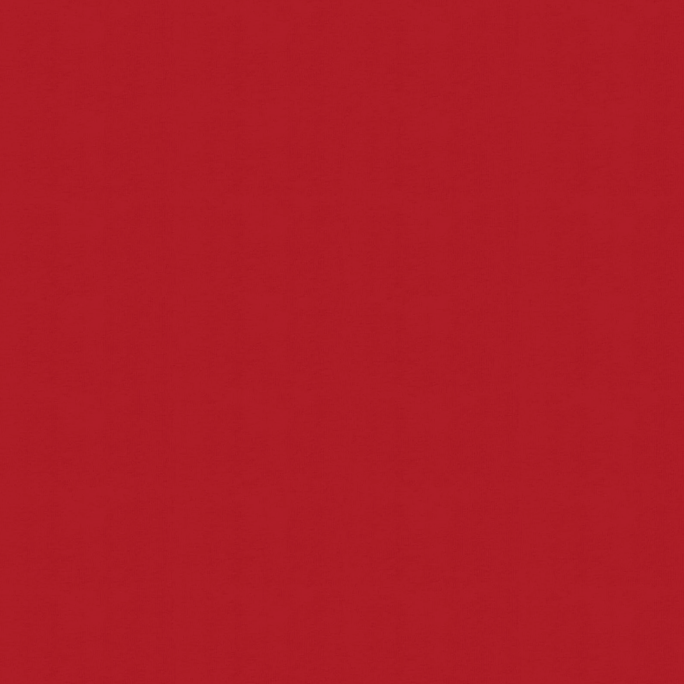 EE Schenck Rio Rib Knit Hot Red