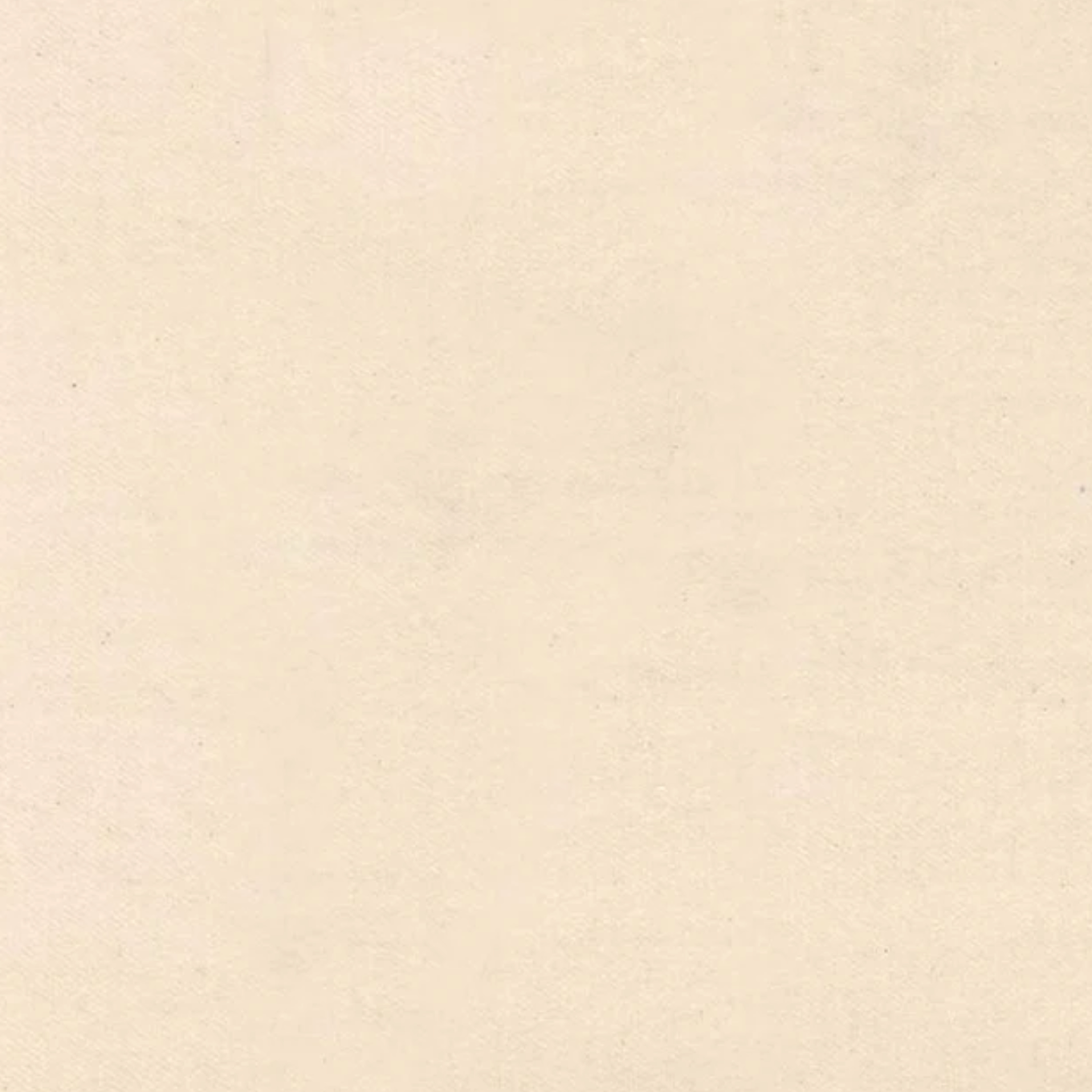 Anthology Canton Flannel Twill Natural