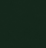 Shannon Fabrics Cuddle Solid Forest