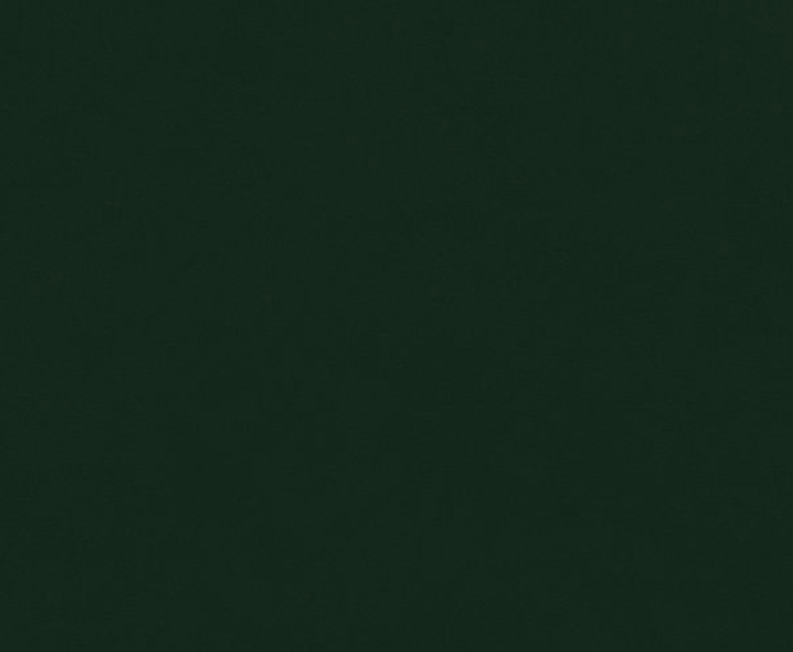 Shannon Fabrics Cuddle Solid Forest